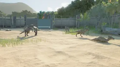Pachycephalosaurid arena