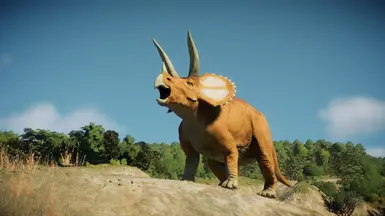 Triceratops