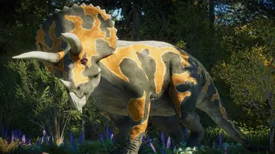 Triceratops