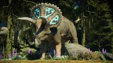 Triceratops