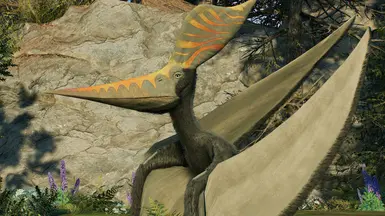 Pteranodon (Geosternbergia)