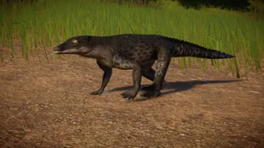 Araripesuchus (New Species)