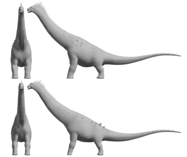 Alamosaurus, original (top) and edited (bottom)