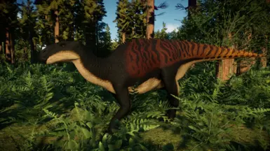 Eolambia (New Species)