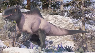Polar B