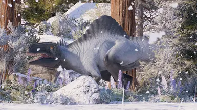 Polar C