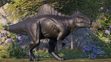 Melanistic