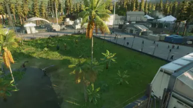 TRASHpanda's wild life reserve