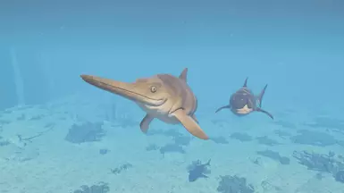 shork hunting :))