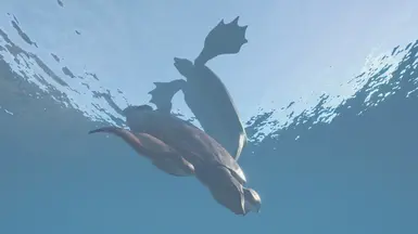 tortle bros