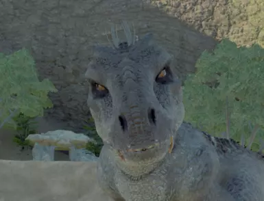 Here he is