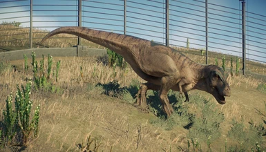 No Lips! T. Rex Didn't Pucker Up, New Tyrannosaur Shows