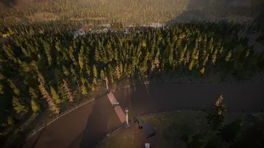 Forêt