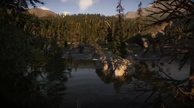 Zone sauvage P1