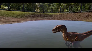 Velociraptor Valley