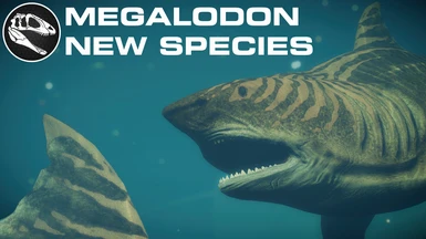 LAS Megalodon (New Species) (1.6)