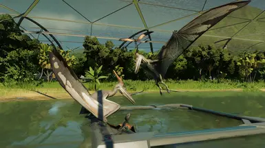 Dimorphodon and Pterandon Aviary