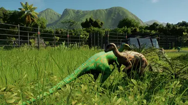 Jungle and Arid Dryosaurus