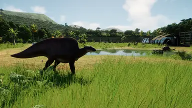 Ouranosaurus and Euoplocephalus