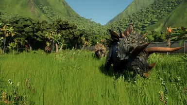 Coastal, Alpine and Steppe Stegoceratops