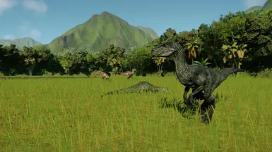 Velociraptor enclosure