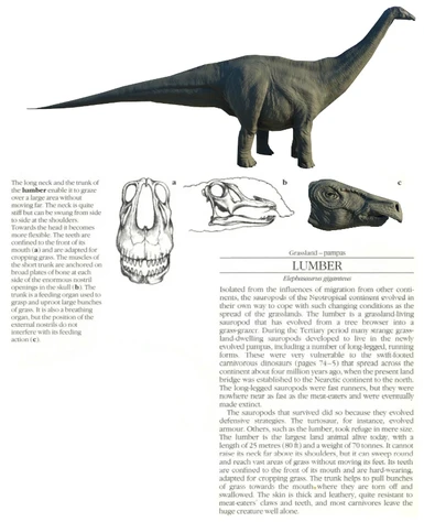 The New Dinosaurs- Elephasaurus giganteus