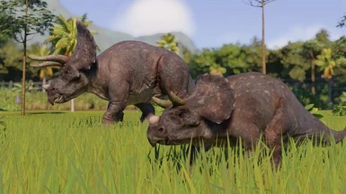 Baby Triceratops (Replaces Minmi)