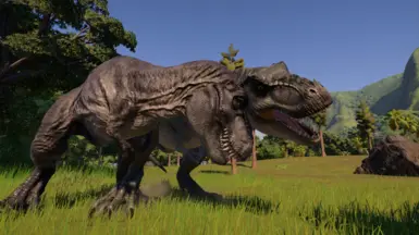 Rex Pair - Before