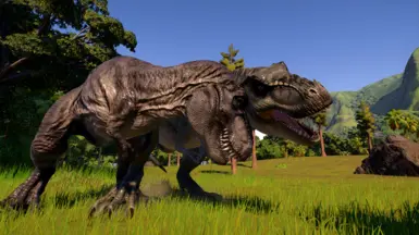 Rex Pair - After