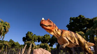 Ceratosaurus - After