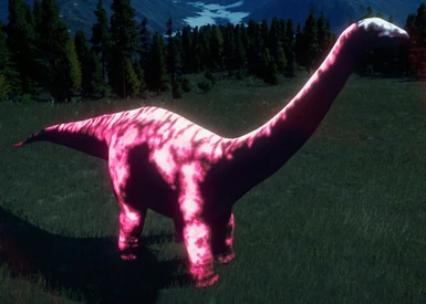 Rana Apatosaurus (Pink)