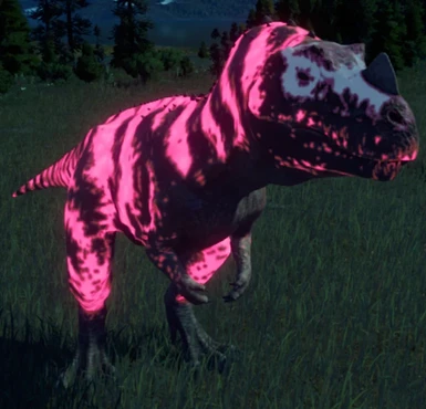 Rana Ceratosaurus (Pink)