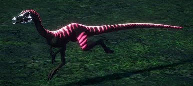 Rana Compsognathus (Pink)