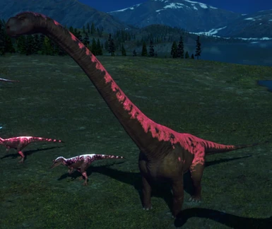 Rana Dreadnoughtus (Pink)