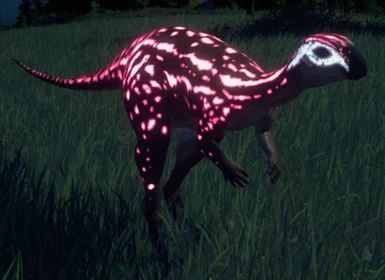 Rana Dryosaurus (Pink)