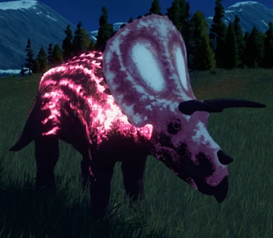 Rana Torosaurus (Pink)