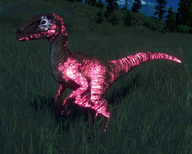 Rana Velociraptor (Pink)