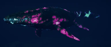 Rana Mosasaurus (Pink)