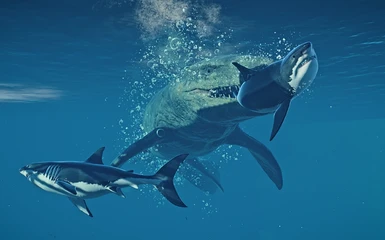 Great White Shark - Ichthyosaurus Replacement