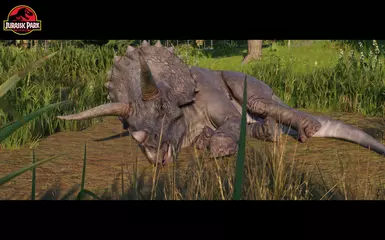 The sick Triceratops.