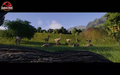 They are flocking this way...