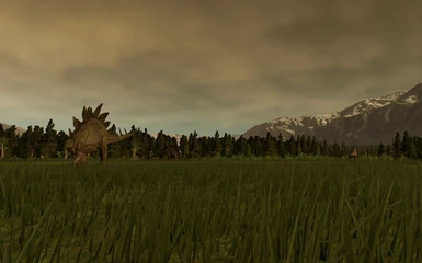 Wild Stegosaurus