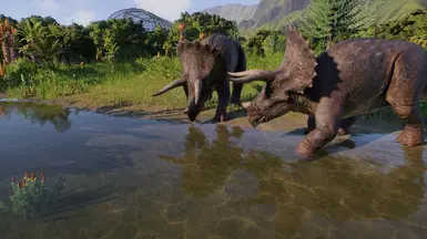 Triceratops Territory