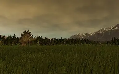 Stegosaurus