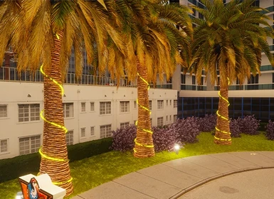 Palm Foliage Improvement DE