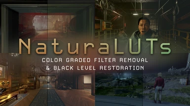 NaturaLUTs - Color Graded Filter Removal and Black Level Restoration LUTs