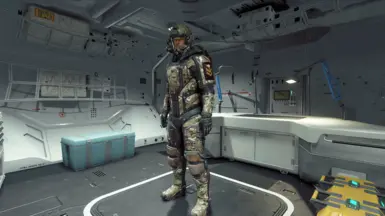 Corpsman skin, MTP pattern, light armor