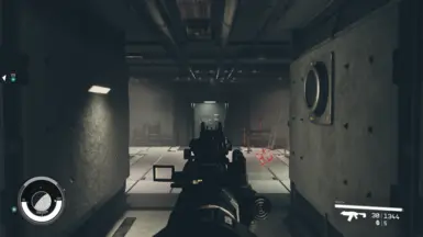 First-Person ADS
