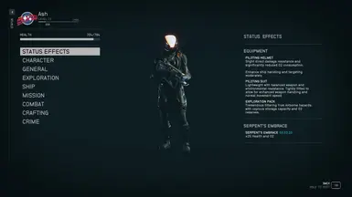You can view what type of Suit you have equipped in the Status menu.