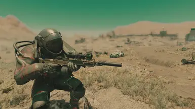 Desert Camo Skin